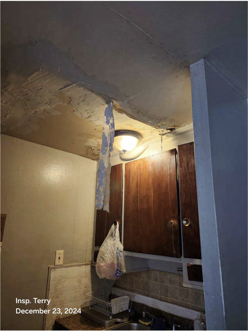 A kitchen ceiling with peeling paint and visible damage near a ceiling light above wooden cabinets. A plastic bag hangs from a cabinet handle. The wall shows water stains. Text reads: Insp. Terry December 23, 2024.