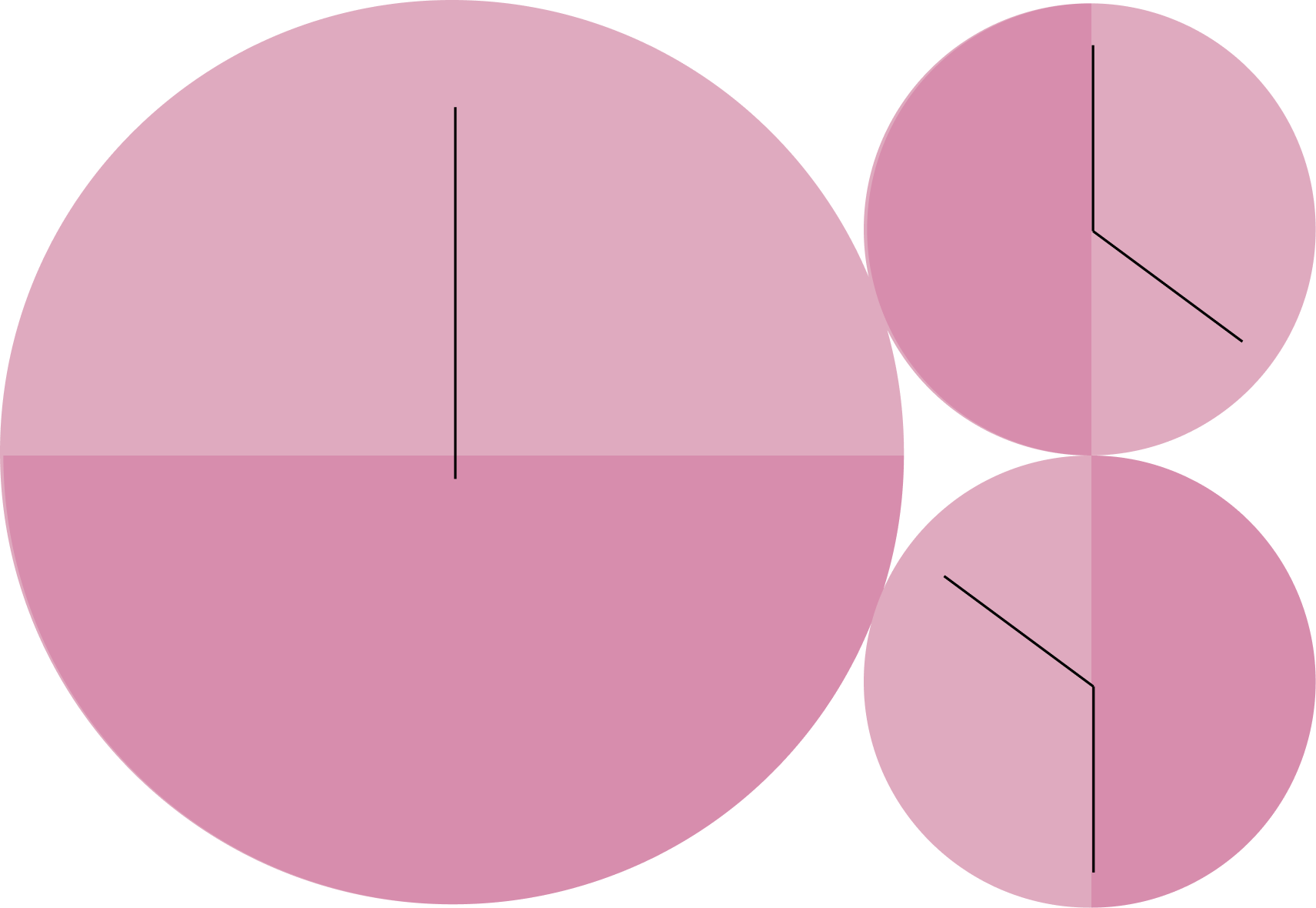 Three overlapping pink circles of varying sizes, each divided in half horizontally or vertically; thin black lines extend from the center to the edge in different directions within each circle.