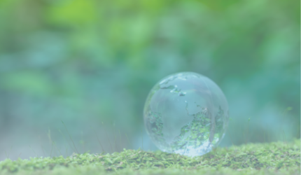 A clear glass globe rests on green moss, with a blurred, natural background suggesting an eco-friendly and serene environment.