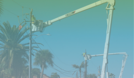 Two utility workers in bucket trucks repair power lines surrounded by palm trees under a clear blue sky.